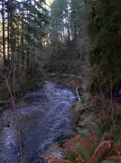 Silver Falls 12.10.05 024 